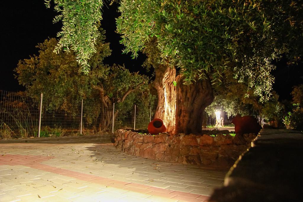 Studios Elianthos Σκάλα Καλλιράχης Εξωτερικό φωτογραφία