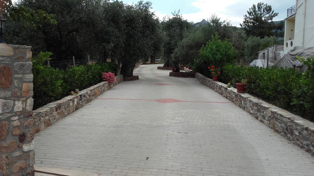 Studios Elianthos Σκάλα Καλλιράχης Εξωτερικό φωτογραφία