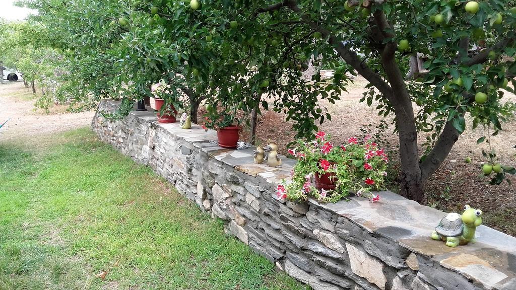 Studios Elianthos Σκάλα Καλλιράχης Εξωτερικό φωτογραφία